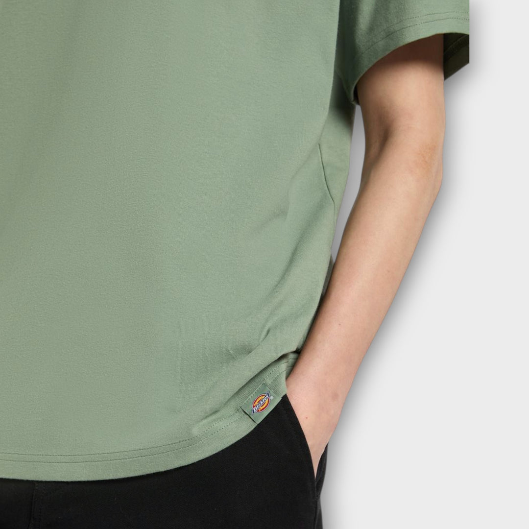 Dickies Laryville T-shirt I Sea Spray